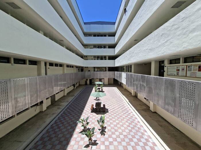 The refreshed courtyard blends light and greenery to create a serene and welcoming campus pathway.